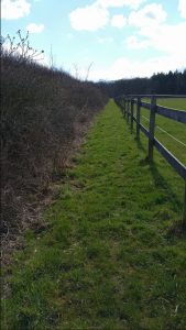 Weg entlang der Koppel